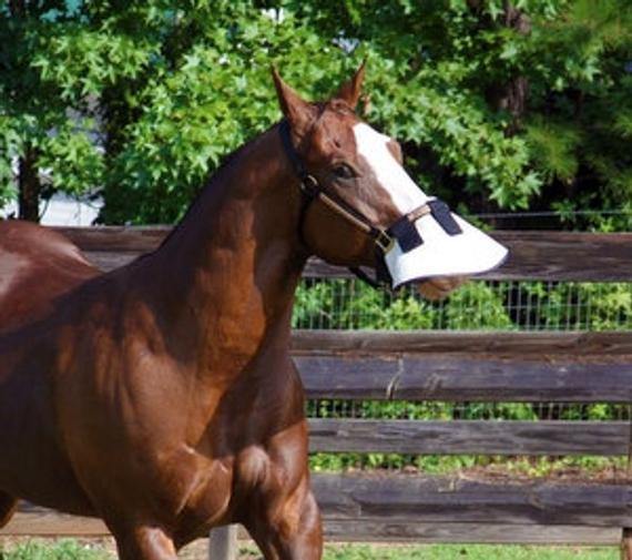 Protege Nez Anti UV 90% pour licol - SHOPHORSE